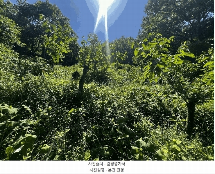2025타경20636 경상남도 창원시 마산합포구 진동면 신기리 631 농지 경매 이미지