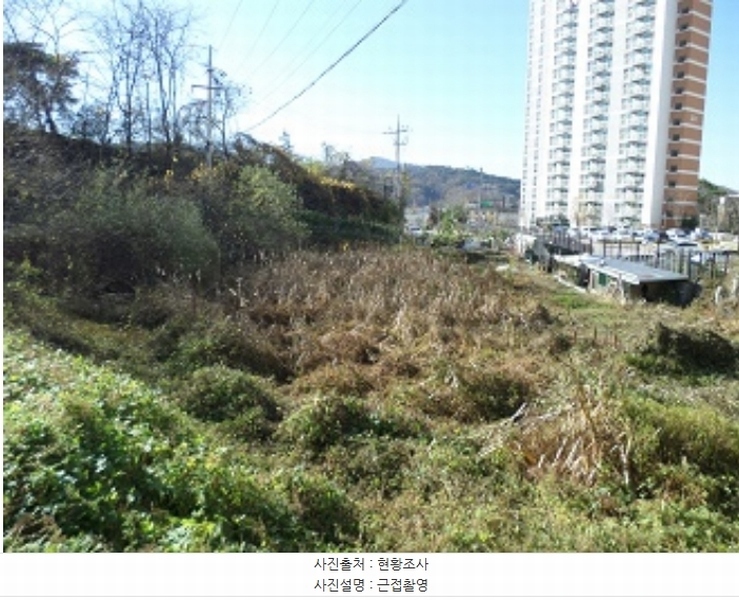 2023타경305488 강원특별자치도 원주시 흥업면 흥업리 156 농지 경매 이미지