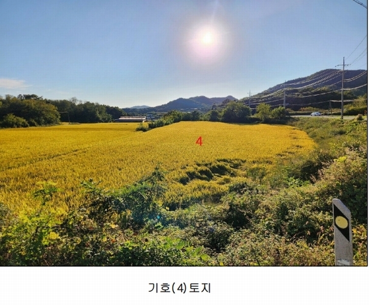 2024타경1585 경상북도 예천군 호명읍 송곡리 461 농지 경매 이미지