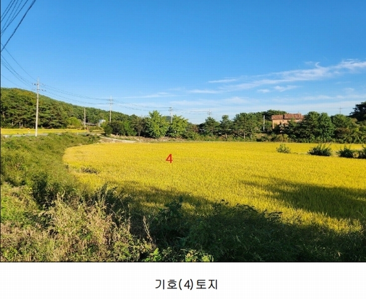 2024타경1585 경상북도 예천군 호명읍 송곡리 461 농지 경매 이미지