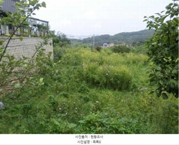 2024타경2373 강원특별자치도 원주시 봉산동 779-12 대지 경매 이미지