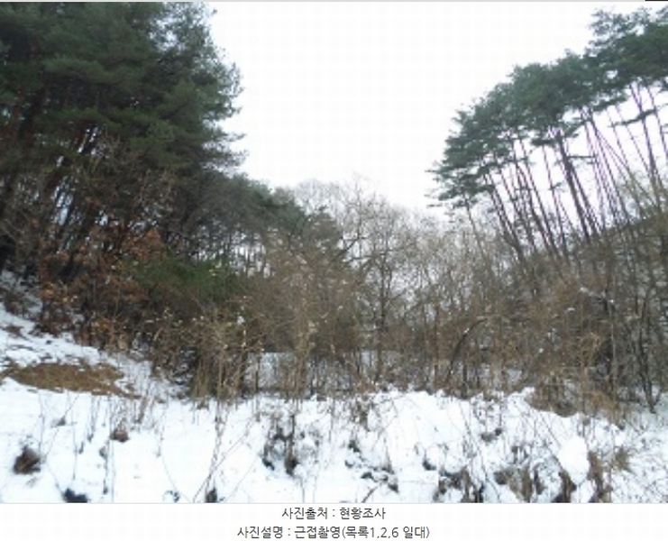2024타경3291 강원특별자치도 횡성군 둔내면 두원리 산32-5 임야 경매 이미지