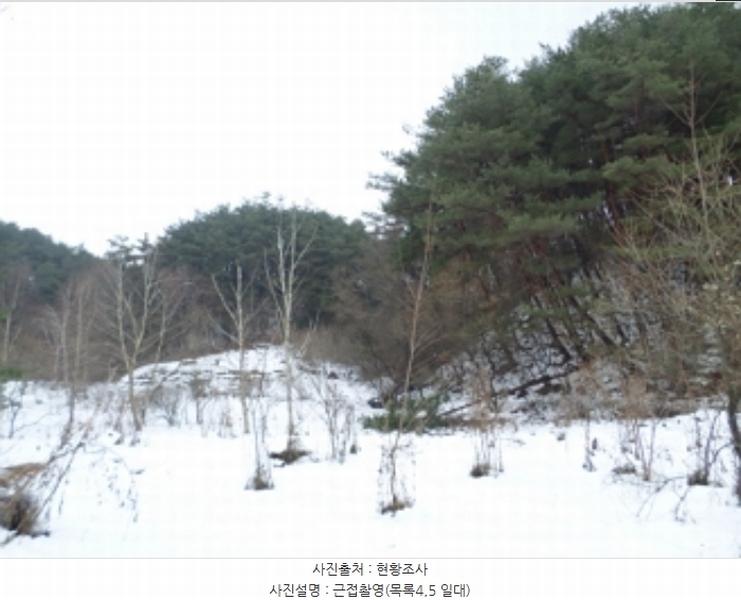 2024타경3291 강원특별자치도 횡성군 둔내면 두원리 산32-5 임야 경매 이미지