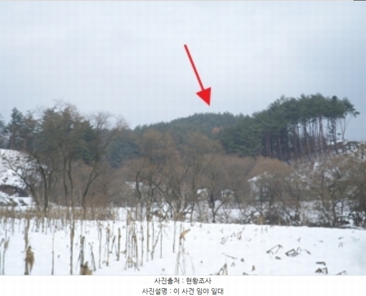 2024타경3291 강원특별자치도 횡성군 둔내면 두원리 산32-5 임야 경매 이미지