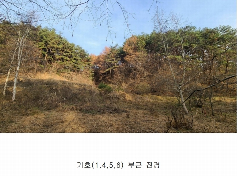 2024타경3291 강원특별자치도 횡성군 둔내면 두원리 산32-5 임야 경매 이미지