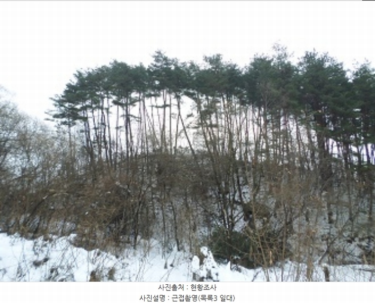 2024타경3291 강원특별자치도 횡성군 둔내면 두원리 산32-5 임야 경매 이미지