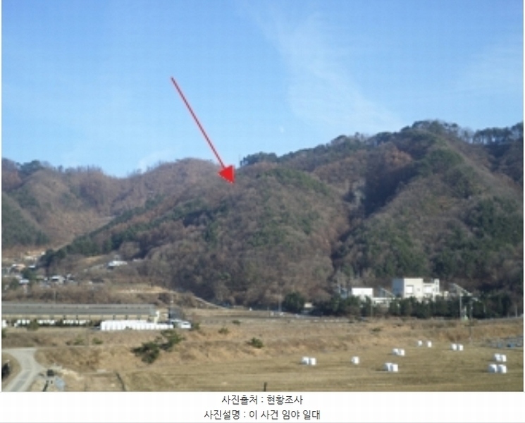 2024타경3376 강원특별자치도 횡성군 서원면 금대리 산11 임야 경매 이미지
