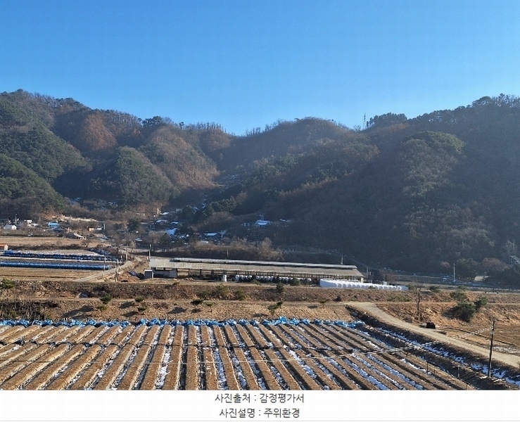 2024타경3376 강원특별자치도 횡성군 서원면 금대리 산11 임야 경매 이미지