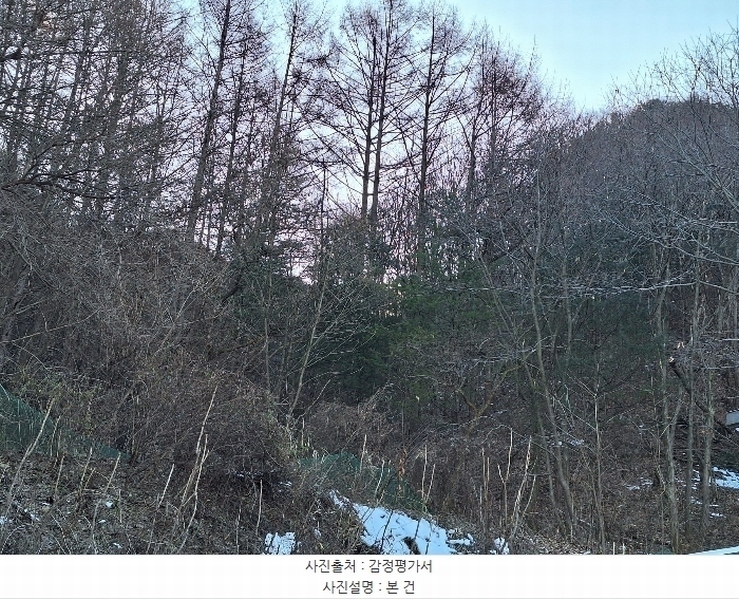 2024타경3376 강원특별자치도 횡성군 서원면 금대리 산11 임야 경매 이미지