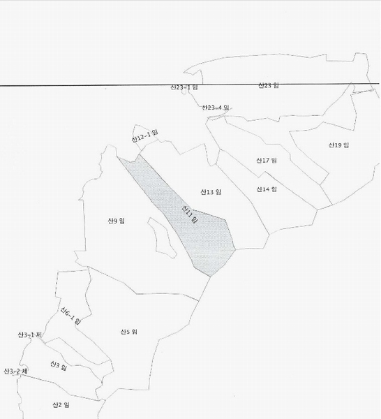 2024타경3376 강원특별자치도 횡성군 서원면 금대리 산11 임야 경매 이미지