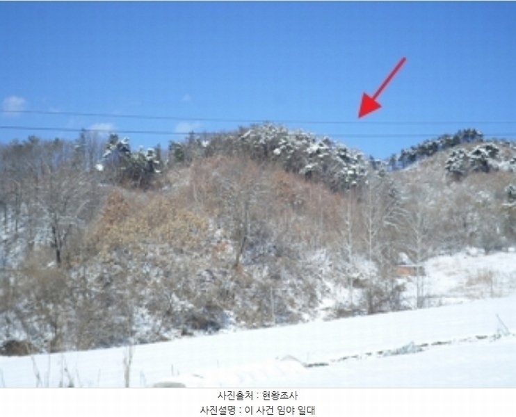 2024타경3444 강원특별자치도 횡성군 갑천면 하대리 산29 임야 경매 이미지