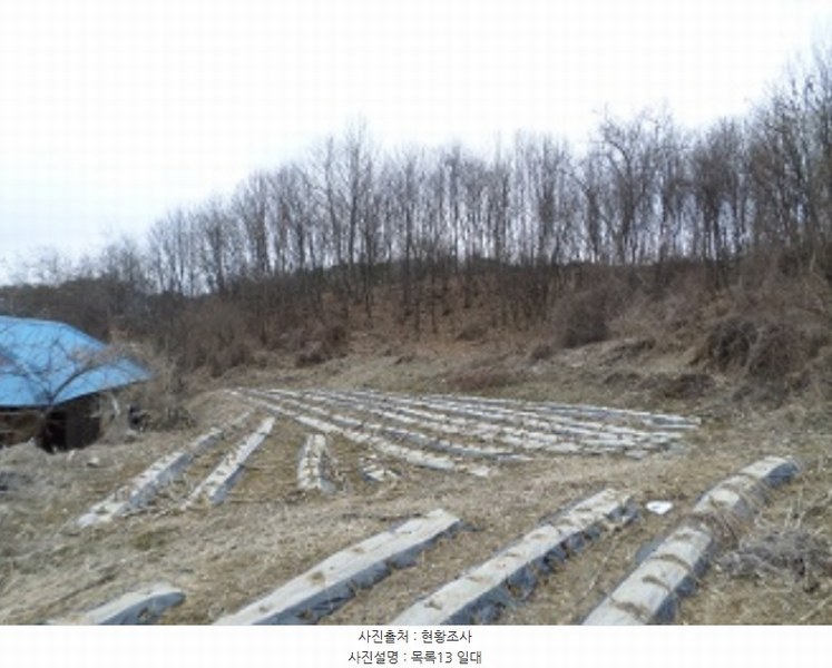 2024타경401024 강원특별자치도 횡성군 횡성읍 갈풍리 199 대지 경매 이미지