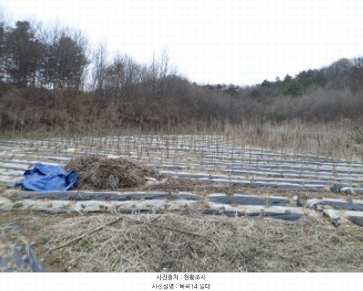 2024타경401024 강원특별자치도 횡성군 횡성읍 갈풍리 199 대지 경매 이미지