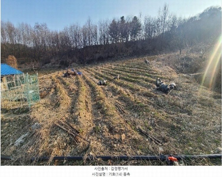 2024타경401024 강원특별자치도 횡성군 횡성읍 갈풍리 199 대지 경매 이미지