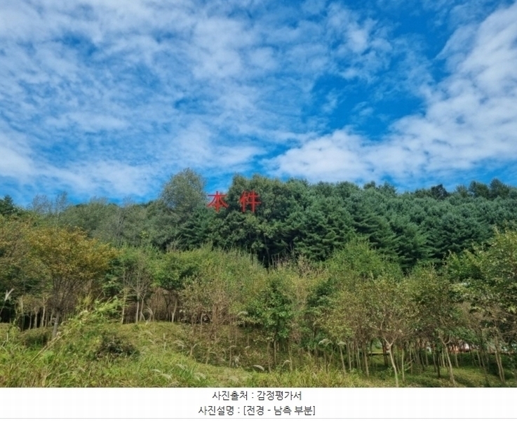 2024타경404894 강원특별자치도 원주시 지정면 가곡리 산87-6 임야 경매 이미지