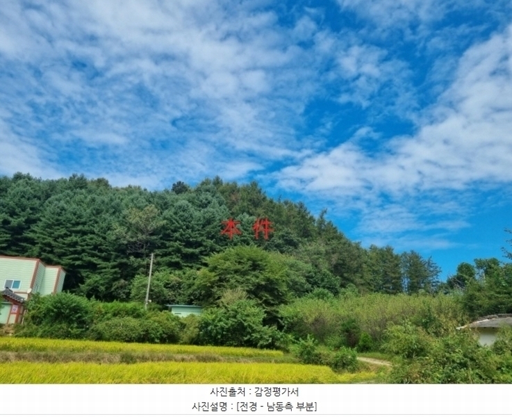 2024타경404894 강원특별자치도 원주시 지정면 가곡리 산87-6 임야 경매 이미지