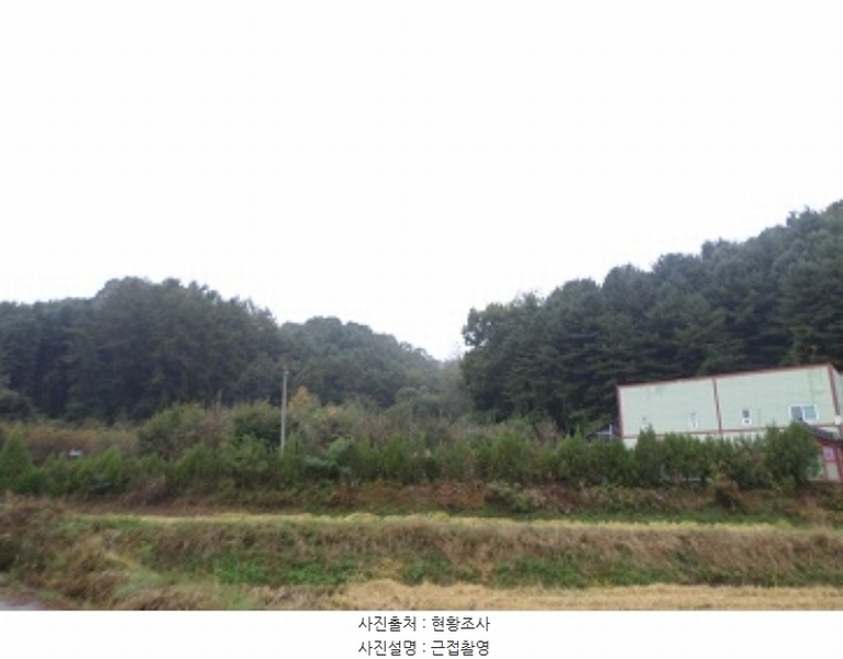 2024타경404894 강원특별자치도 원주시 지정면 가곡리 산87-6 임야 경매 이미지