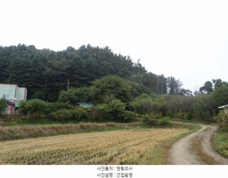 2024타경404894 강원특별자치도 원주시 지정면 가곡리 산87-6 임야 경매 이미지