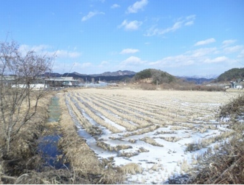 2024타경406722 강원특별자치도 횡성군 공근면 오산리 353 농지 경매 이미지