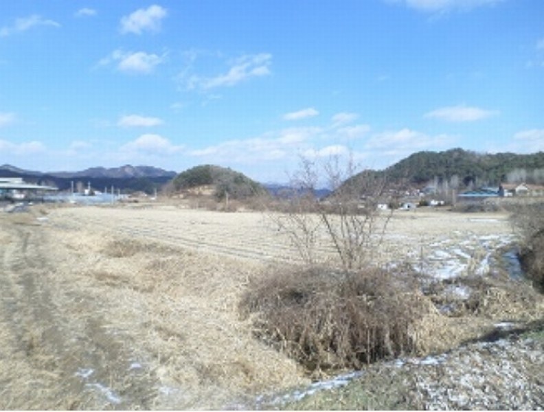 2024타경406722 강원특별자치도 횡성군 공근면 오산리 353 농지 경매 이미지