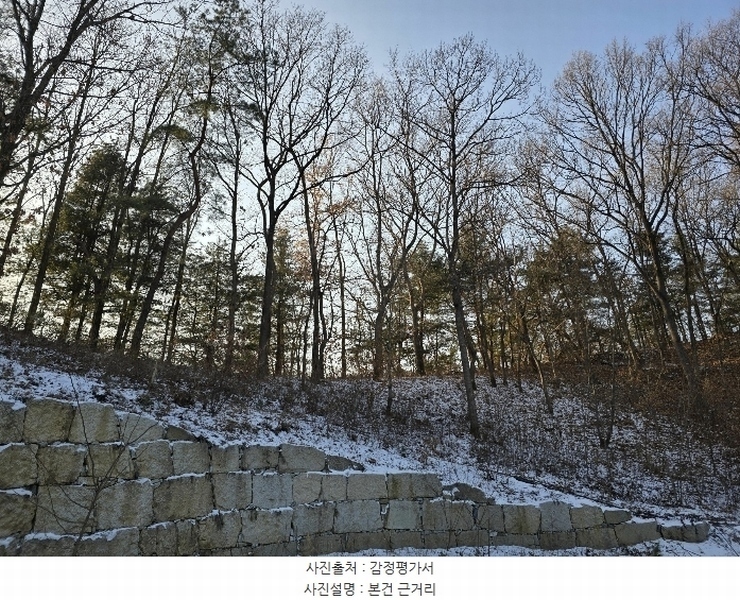2024타경406944 강원특별자치도 원주시 행구동 1207-54 임야 경매 이미지