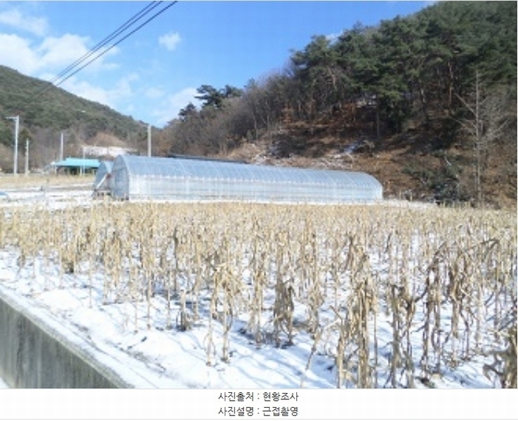 2024타경407145 강원특별자치도 횡성군 공근면 초원리 134-13 농지 경매 이미지