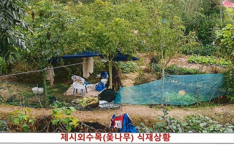 2024타경407183 강원특별자치도 원주시 태장동 966-2 농지 경매 이미지