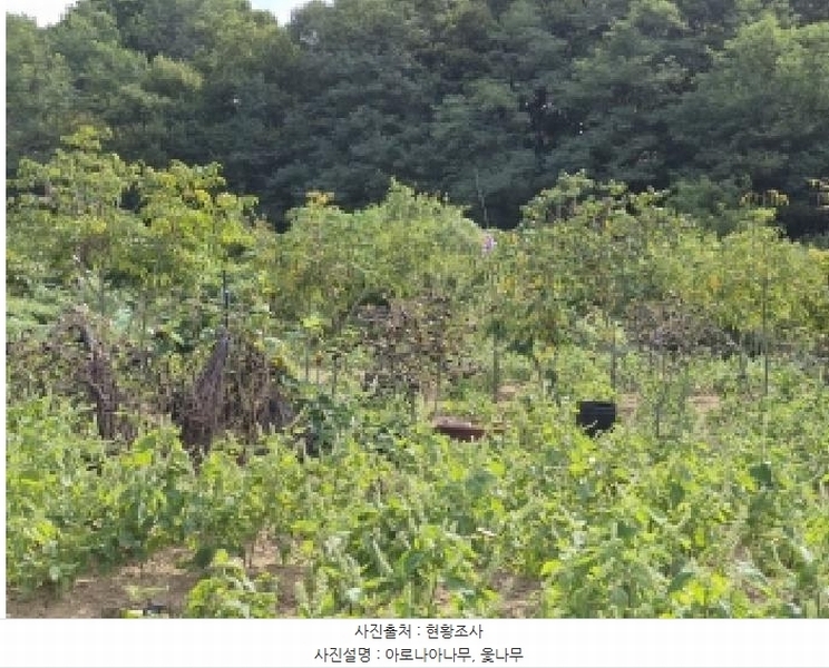 2024타경407183 강원특별자치도 원주시 태장동 966-2 농지 경매 이미지