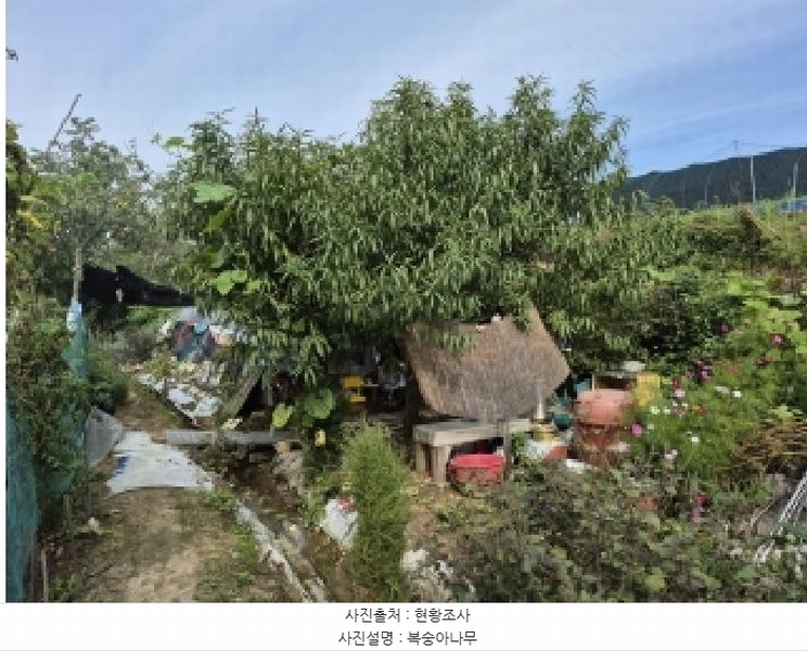 2024타경407183 강원특별자치도 원주시 태장동 966-2 농지 경매 이미지