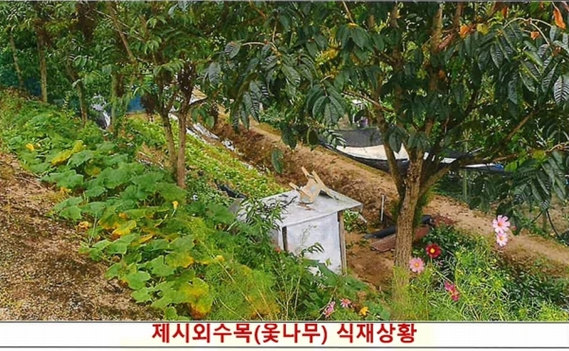 2024타경407183 강원특별자치도 원주시 태장동 966-2 농지 경매 이미지
