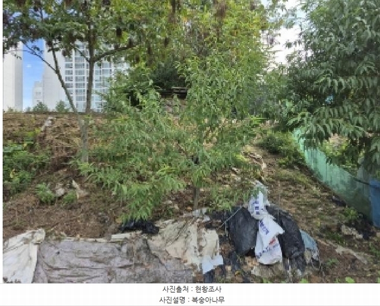2024타경407183 강원특별자치도 원주시 태장동 966-2 농지 경매 이미지