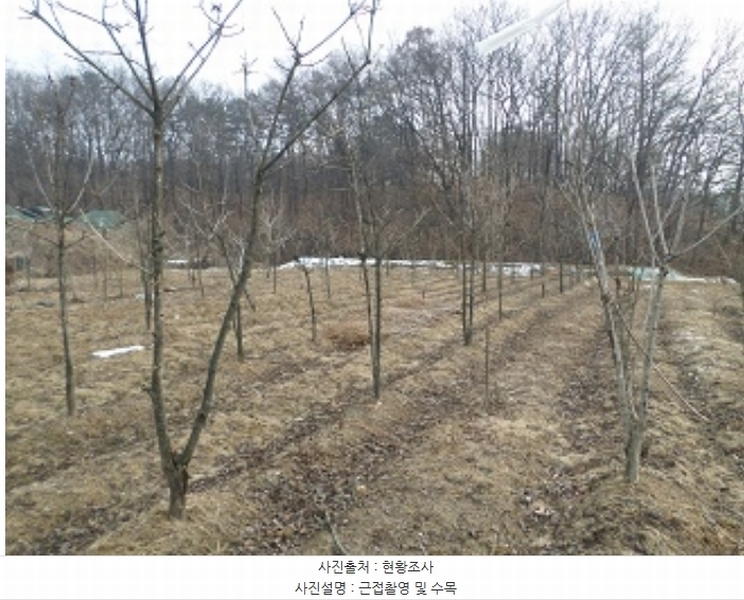 2024타경407183 강원특별자치도 원주시 태장동 966-2 농지 경매 이미지