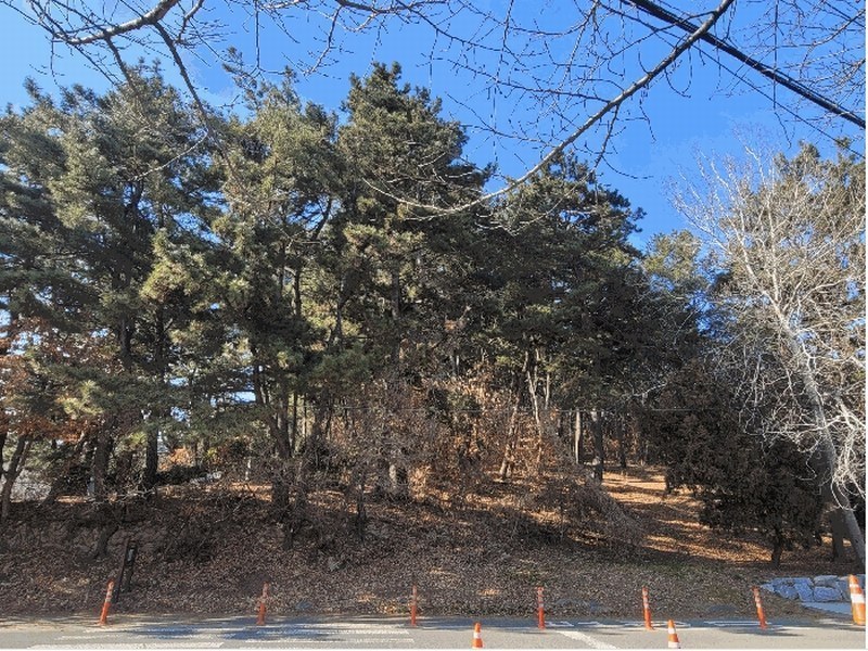 2025타경381 울산광역시 남구 선암동 산134-1 임야 경매 이미지
