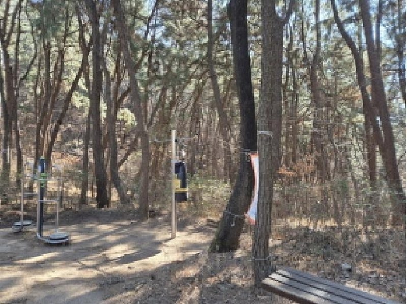 2025타경381 울산광역시 남구 선암동 산134-1 임야 경매 이미지