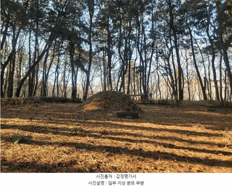 2025타경381 울산광역시 남구 선암동 산134-1 임야 경매 이미지