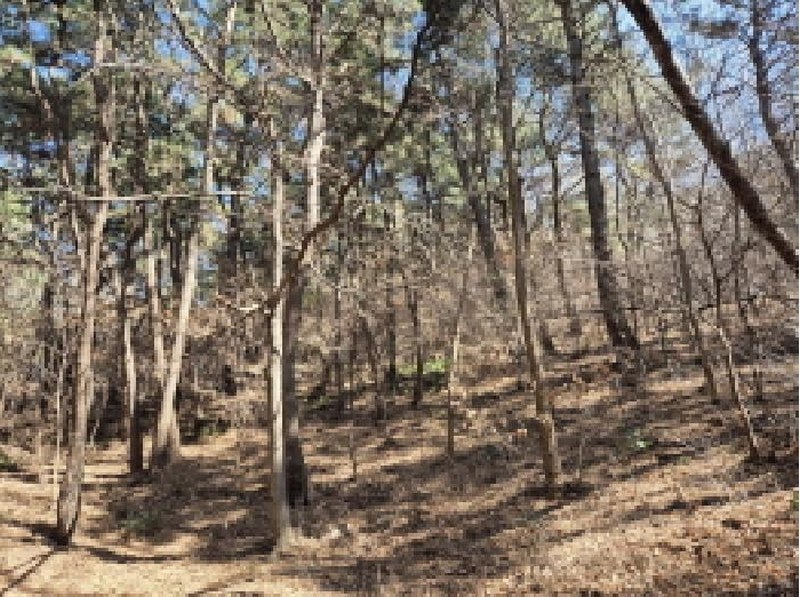 2025타경381 울산광역시 남구 선암동 산134-1 임야 경매 이미지