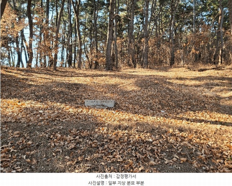 2025타경381 울산광역시 남구 선암동 산134-1 임야 경매 이미지