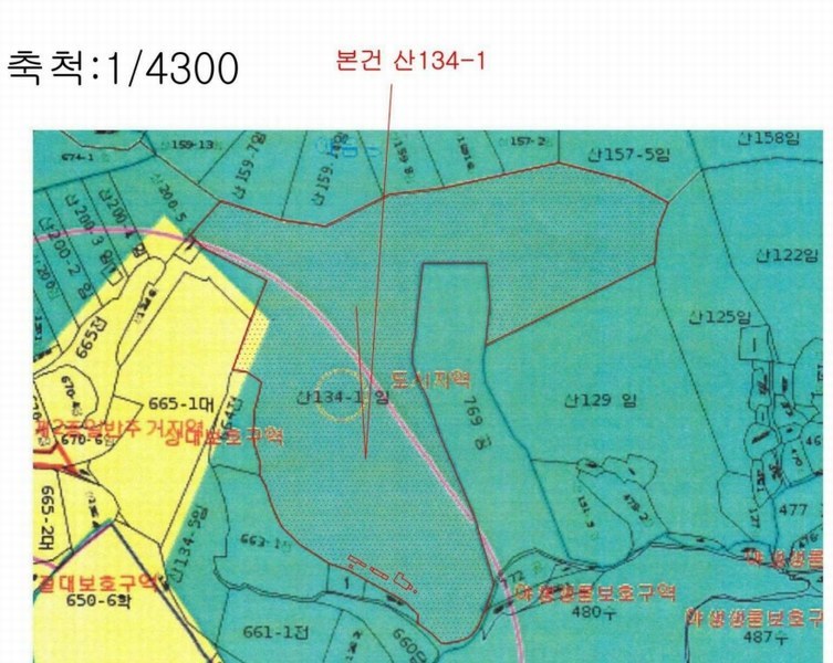 2025타경381 울산광역시 남구 선암동 산134-1 임야 경매 이미지