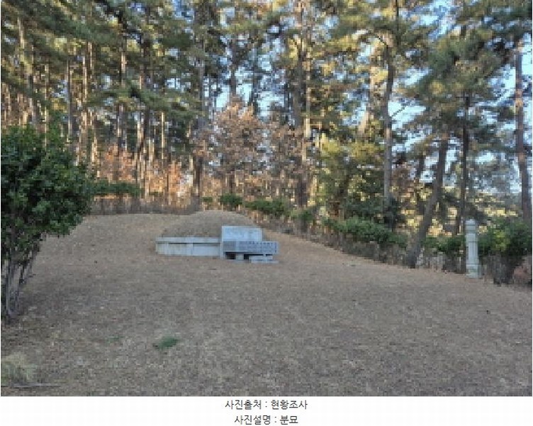 2025타경381 울산광역시 남구 선암동 산134-1 임야 경매 이미지