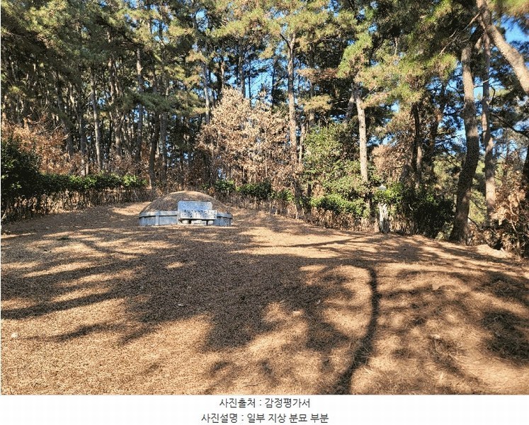 2025타경381 울산광역시 남구 선암동 산134-1 임야 경매 이미지