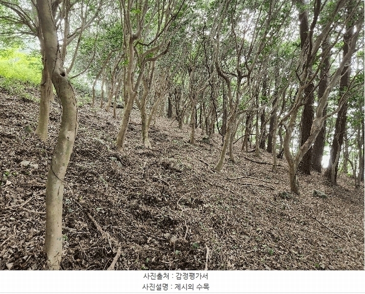 2025타경480 경상남도 거제시 남부면 갈곶리 218 임야 경매 이미지