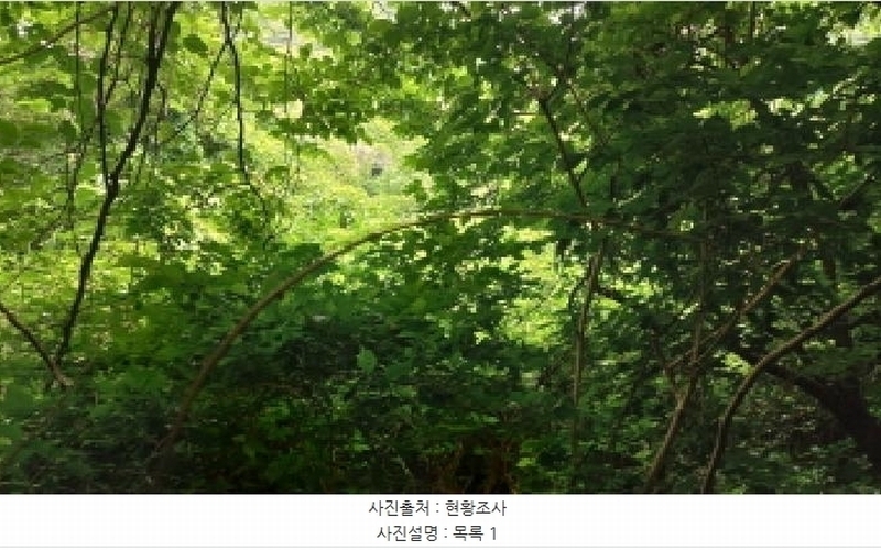 2025타경480 경상남도 거제시 남부면 갈곶리 218 임야 경매 이미지