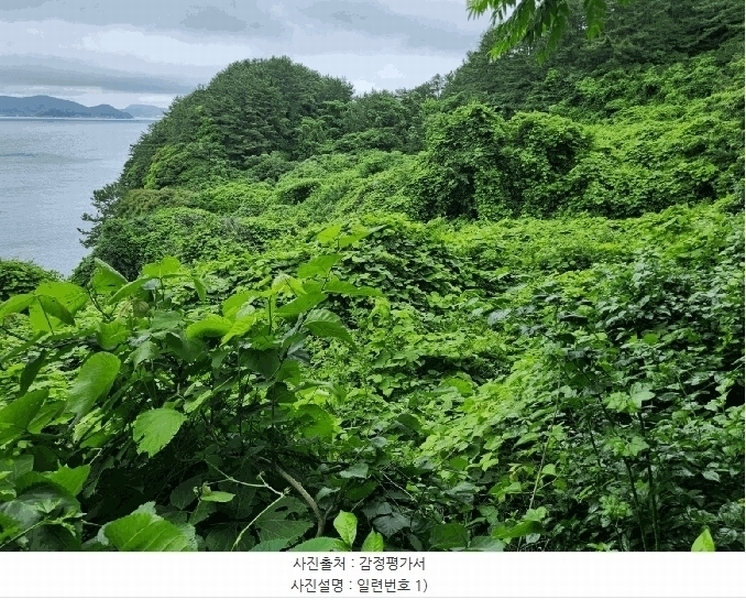 2025타경480 경상남도 거제시 남부면 갈곶리 218 임야 경매 이미지