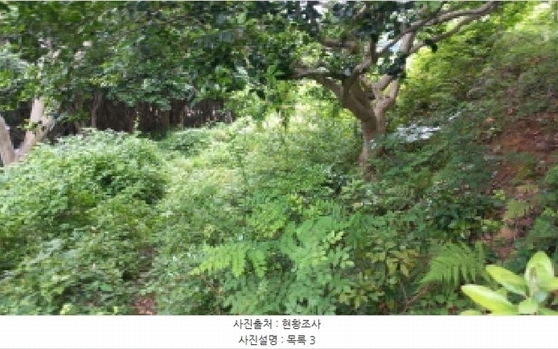 2025타경480 경상남도 거제시 남부면 갈곶리 218 임야 경매 이미지