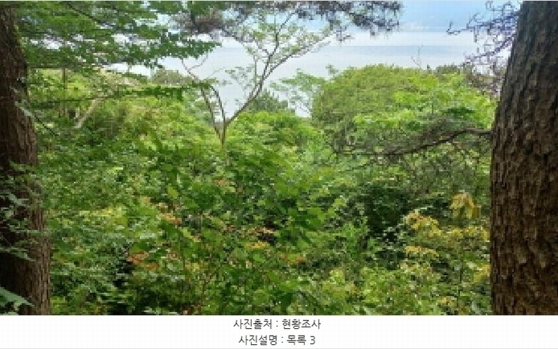 2025타경480 경상남도 거제시 남부면 갈곶리 218 임야 경매 이미지