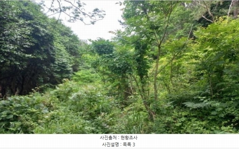 2025타경480 경상남도 거제시 남부면 갈곶리 218 임야 경매 이미지