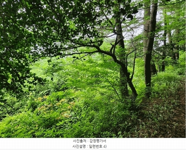 2025타경480 경상남도 거제시 남부면 갈곶리 218 임야 경매 이미지