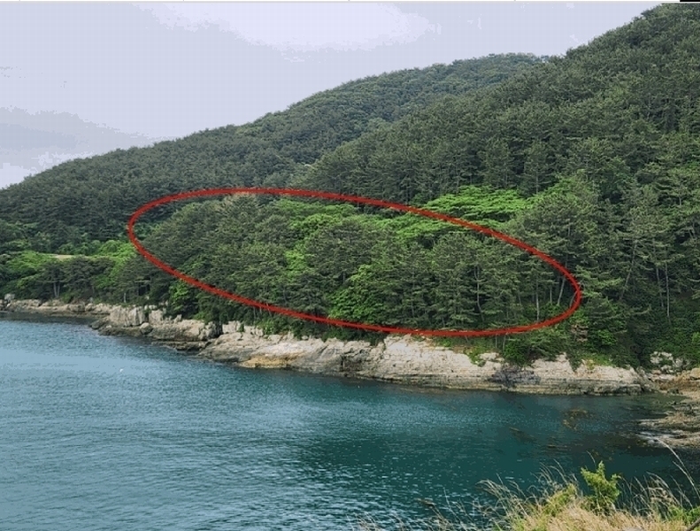 2025타경480 경상남도 거제시 남부면 갈곶리 218 임야 경매 이미지