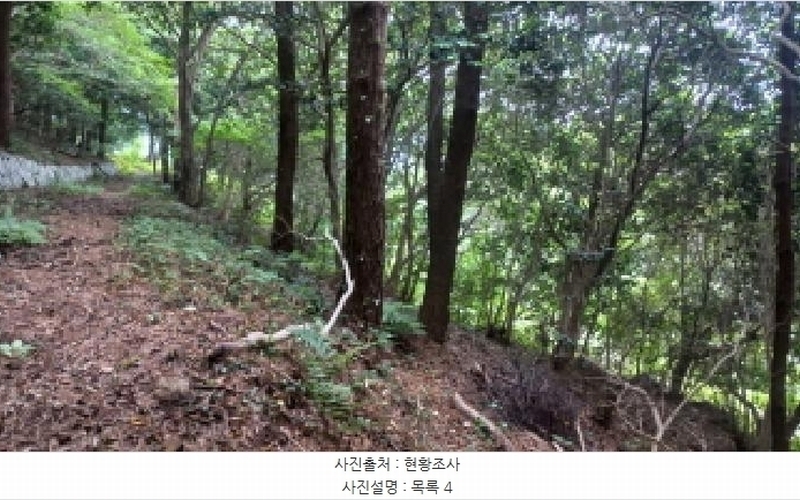 2025타경480 경상남도 거제시 남부면 갈곶리 218 임야 경매 이미지