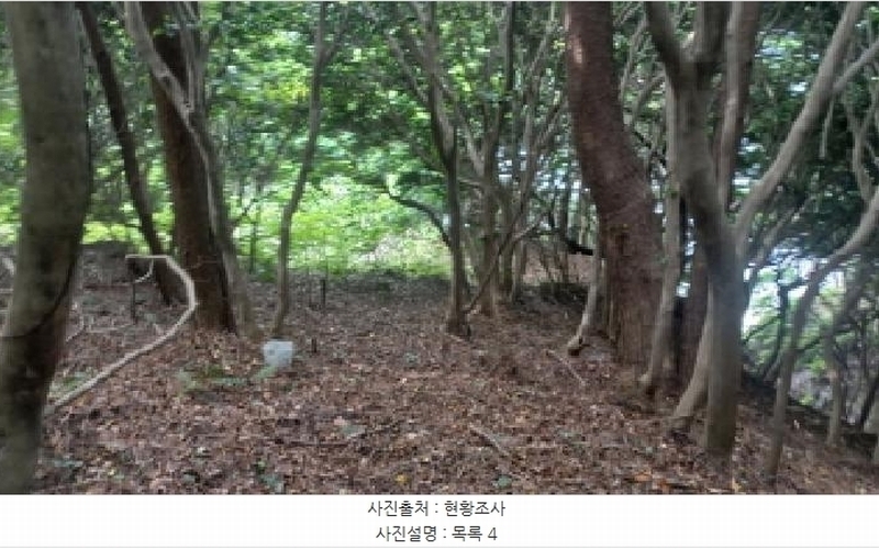 2025타경480 경상남도 거제시 남부면 갈곶리 218 임야 경매 이미지
